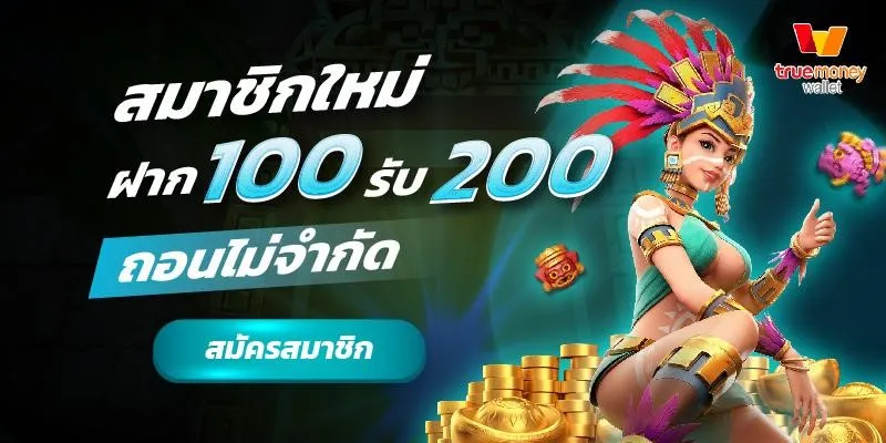 lupin55 วอเลท